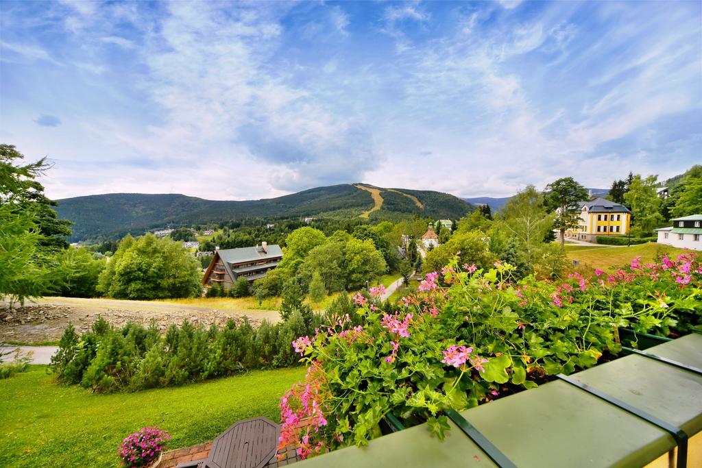 Pension Silva Špindlerŭv Mlýn 客房 照片